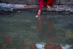 Madhav Narayan Vrat Devotees Take Holy Bath in Bagmati River at Pashupatinath