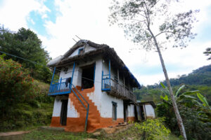 Old Houses of Bhojpur Preserving History, Culture, and Identity