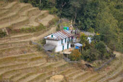 Old Houses of Bhojpur Preserving History, Culture, and Identity