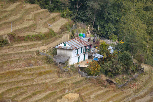 Old Houses of Bhojpur Preserving History, Culture, and Identity