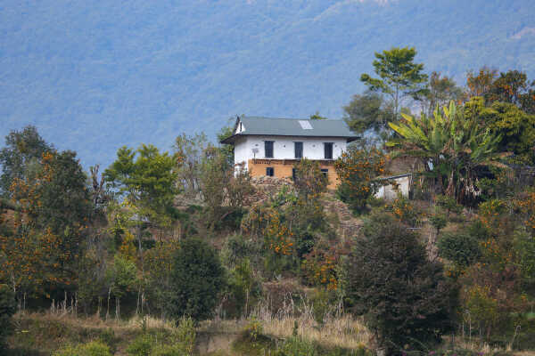Old Houses of Bhojpur Preserving History, Culture, and Identity