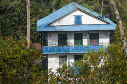 Old Houses of Bhojpur Preserving History, Culture, and Identity