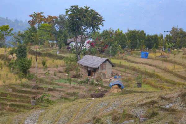 Old Houses of Bhojpur Preserving History, Culture, and Identity