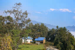 Old Houses of Bhojpur Preserving History, Culture, and Identity