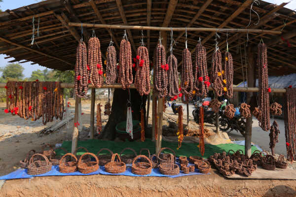 Rudraksha Cultivation and Product Manufacturing Expand in Bhojpur