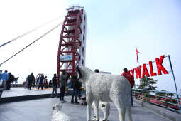 Skywalk in Bhedetar Sees Surge of Visitors on New Year 2026