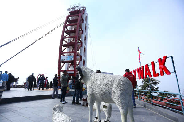 Skywalk in Bhedetar Sees Surge of Visitors on New Year 2026