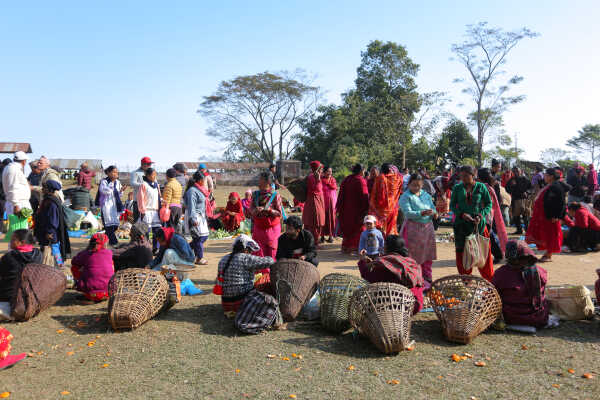 Weekly Wednesday Haat Bazaar Brings Life to Jhyaupokhari in Bhojpur