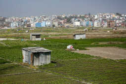 Daily Life in Nepal Farmers at Work Along the Manohara River (12)