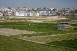 Daily Life in Nepal Farmers at Work Along the Manohara River (13)