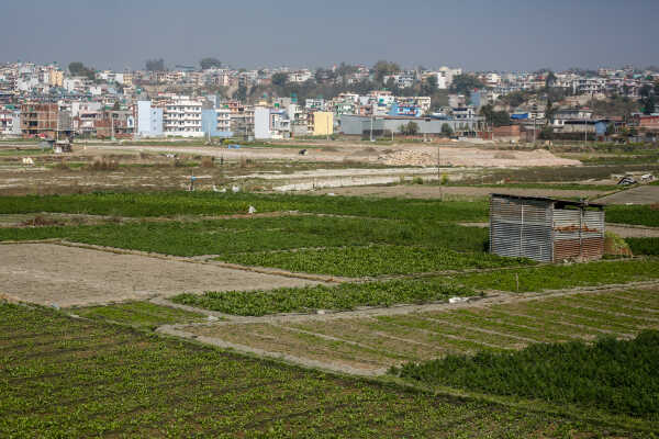 Daily Life in Nepal Farmers at Work Along the Manohara River (13)
