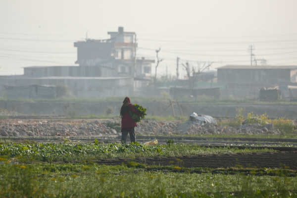Daily Life in Nepal Farmers at Work Along the Manohara River (2)