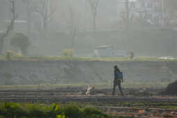 Daily Life in Nepal Farmers at Work Along the Manohara River (3)