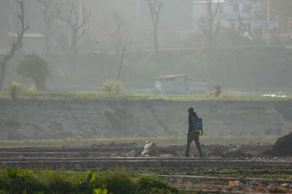 Daily Life in Nepal Farmers at Work Along the Manohara River (3)