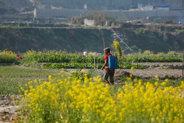 Daily Life in Nepal Farmers at Work Along the Manohara River (4)