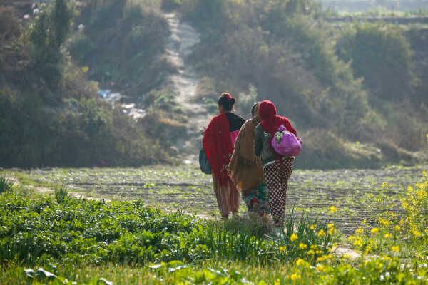 Daily Life in Nepal Farmers at Work Along the Manohara River (7)