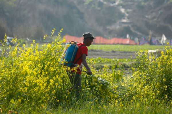 Daily Life in Nepal Farmers at Work Along the Manohara River (8)
