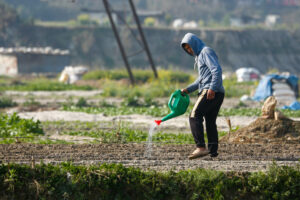 Daily Life in Nepal Farmers at Work Along the Manohara River