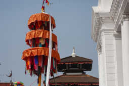 Fagu Festival Begins in Basantapur with the Erection of Chir on Phalgun Shukla Ashtami (13)