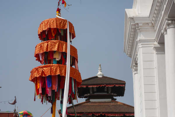 Fagu Festival Begins in Basantapur with the Erection of Chir on Phalgun Shukla Ashtami (13)