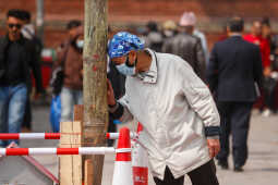 Fagu Festival Begins in Basantapur with the Erection of Chir on Phalgun Shukla Ashtami (14)