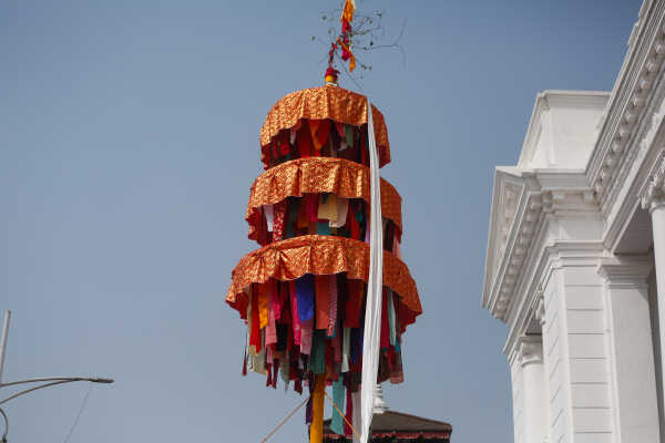 Fagu Festival Begins in Basantapur with the Erection of Chir on Phalgun Shukla Ashtami (16)