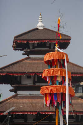 Fagu Festival Begins in Basantapur with the Erection of Chir on Phalgun Shukla Ashtami (17)