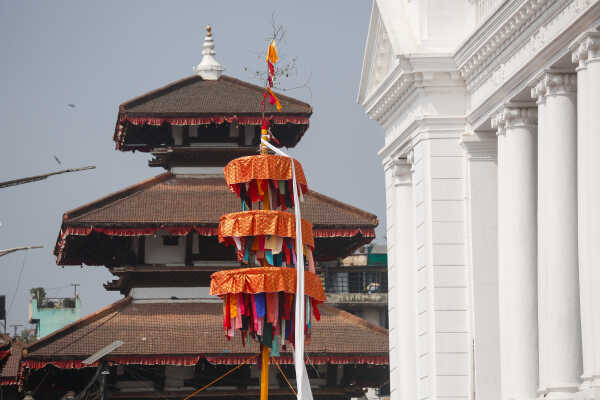 Fagu Festival Begins in Basantapur with the Erection of Chir on Phalgun Shukla Ashtami (18)