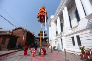 Fagu Festival Begins in Basantapur with the Erection of Chir on Phalgun Shukla Ashtami