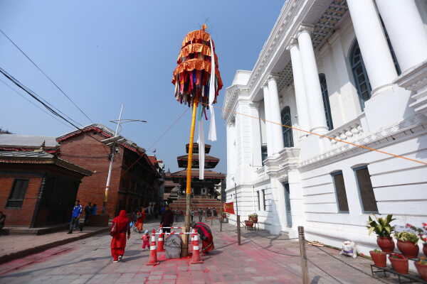 Fagu Festival Begins in Basantapur with the Erection of Chir on Phalgun Shukla Ashtami