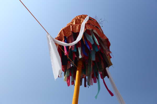Fagu Festival Begins in Basantapur with the Erection of Chir on Phalgun Shukla Ashtami (21)