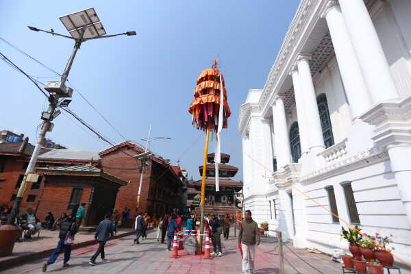 Fagu Festival Begins in Basantapur with the Erection of Chir on Phalgun Shukla Ashtami (22)