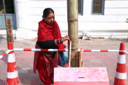 Fagu Festival Begins in Basantapur with the Erection of Chir on Phalgun Shukla Ashtami (24)