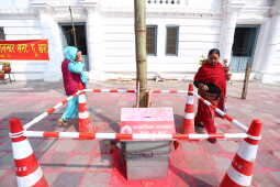 Fagu Festival Begins in Basantapur with the Erection of Chir on Phalgun Shukla Ashtami (25)