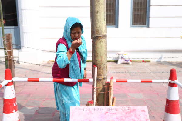 Fagu Festival Begins in Basantapur with the Erection of Chir on Phalgun Shukla Ashtami (26)