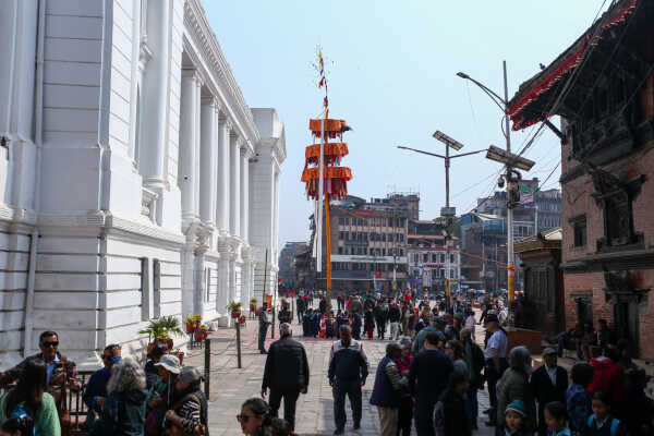 Fagu Festival Begins in Basantapur with the Erection of Chir on Phalgun Shukla Ashtami (29)