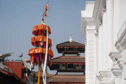 Fagu Festival Begins in Basantapur with the Erection of Chir on Phalgun Shukla Ashtami (3)