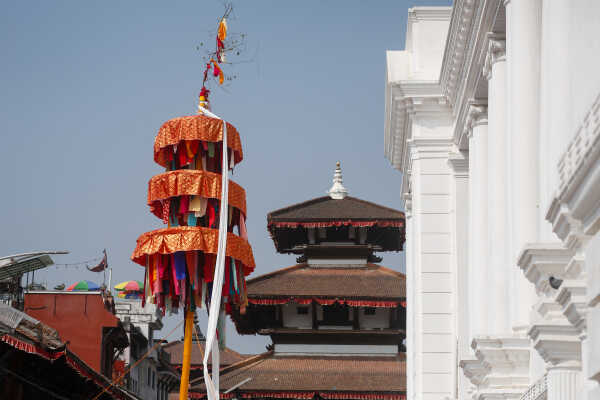 Fagu Festival Begins in Basantapur with the Erection of Chir on Phalgun Shukla Ashtami (3)