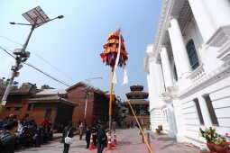 Fagu Festival Begins in Basantapur with the Erection of Chir on Phalgun Shukla Ashtami (30)