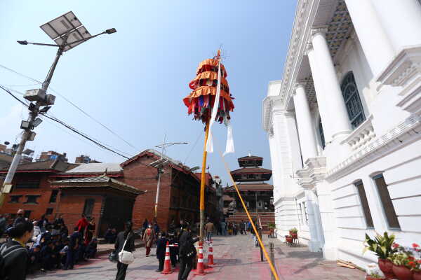 Fagu Festival Begins in Basantapur with the Erection of Chir on Phalgun Shukla Ashtami (30)