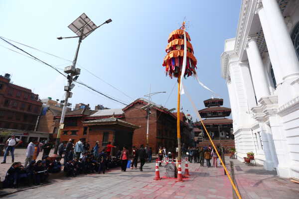 Fagu Festival Begins in Basantapur with the Erection of Chir on Phalgun Shukla Ashtami (31)