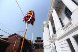 Fagu Festival Begins in Basantapur with the Erection of Chir on Phalgun Shukla Ashtami (32)