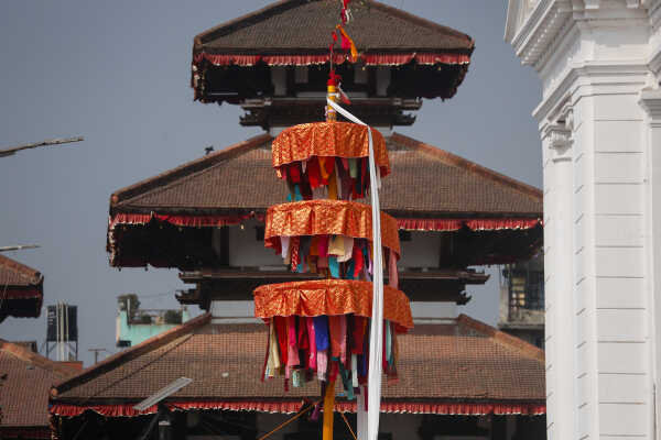 Fagu Festival Begins in Basantapur with the Erection of Chir on Phalgun Shukla Ashtami (5)