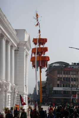 Fagu Festival Begins in Basantapur with the Erection of Chir on Phalgun Shukla Ashtami (6)
