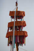 Fagu Festival Begins in Basantapur with the Erection of Chir on Phalgun Shukla Ashtami (7)