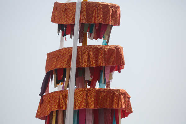 Fagu Festival Begins in Basantapur with the Erection of Chir on Phalgun Shukla Ashtami (8)