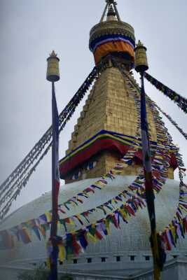 S2B08666