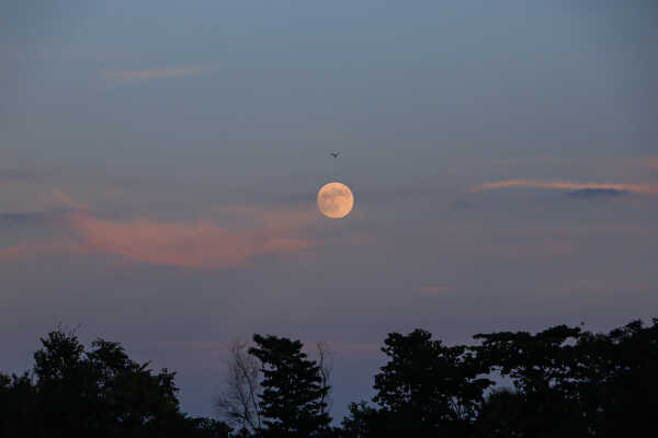 Full Moon
