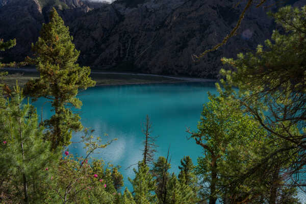 The Blue Jewel of Dolpa