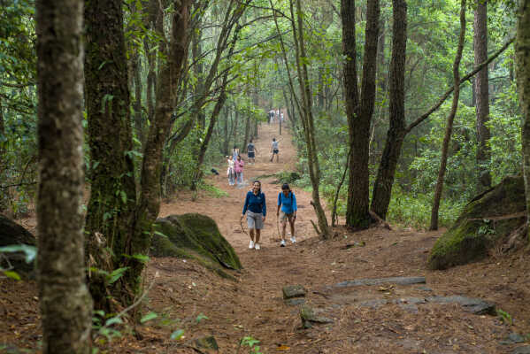 Jamacho Hike, Kathmandu